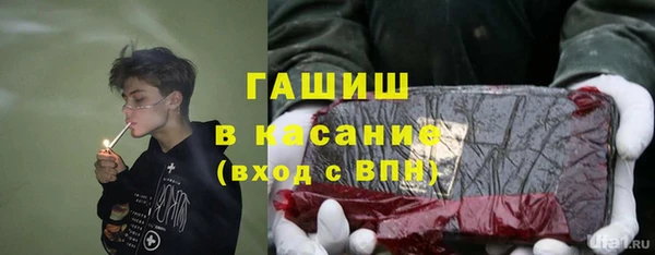 стафф Алексин
