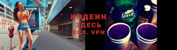 прущий лед Алзамай