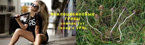 экстази Алексеевка