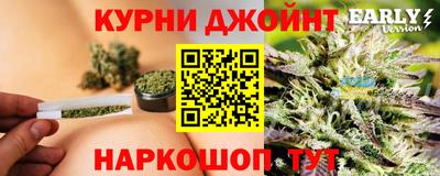 МДПВ Сланцы