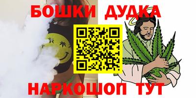 МДПВ Сланцы