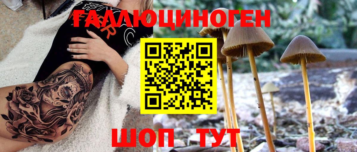 Псилоцибиновые грибы Magic Shrooms  Вход с VPN  Тихвин 