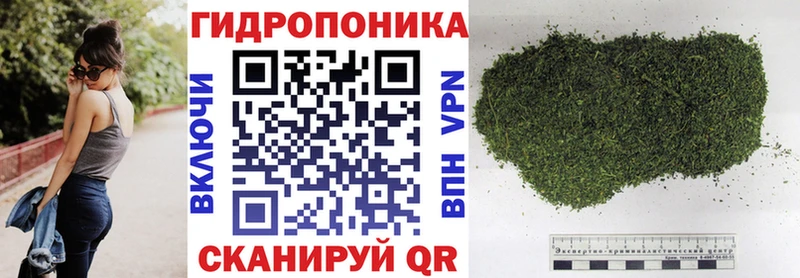 Бошки Шишки SATIVA & INDICA  купить наркотик  Тихвин 